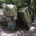 IMG_3230