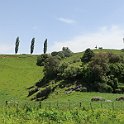 IMG_3231
