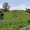 IMG_3232