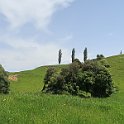 IMG_3233