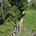 IMG_3234