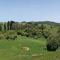IMG_3235