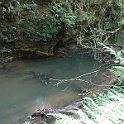 IMG_3246