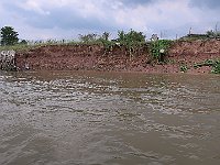 IMG 3425