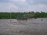 IMG 3431