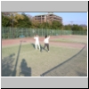 p104.jpg