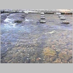 image001.jpg