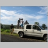 p043.jpg