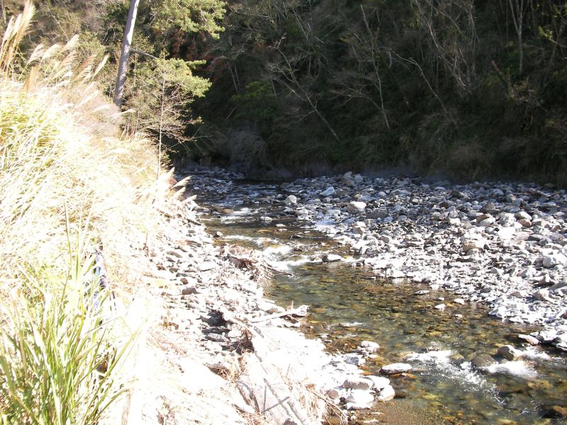 p0004.jpg