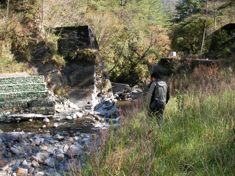 p0008.jpg