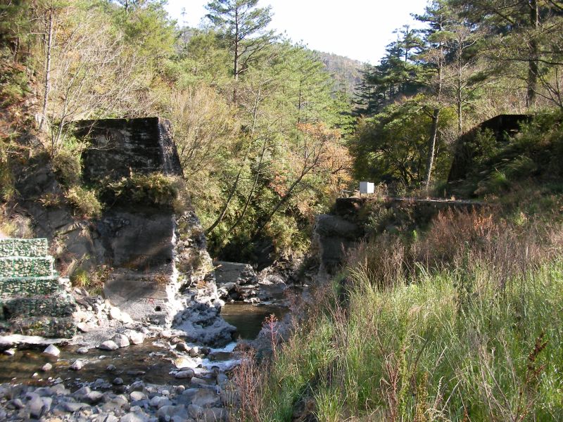p0010.jpg