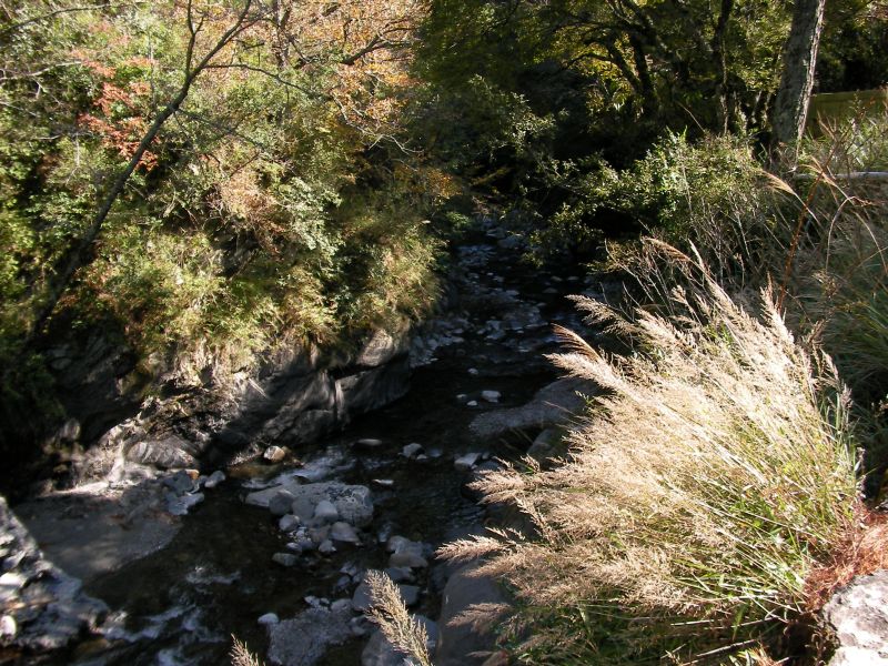 p0012.jpg