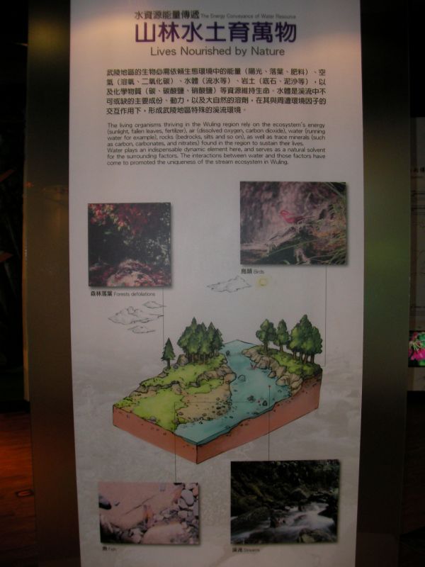 p0017.jpg