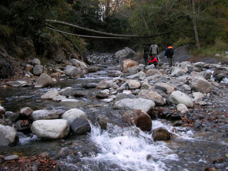 p0021.jpg