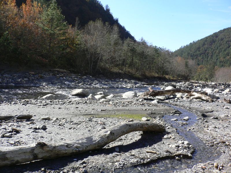 p0041.jpg