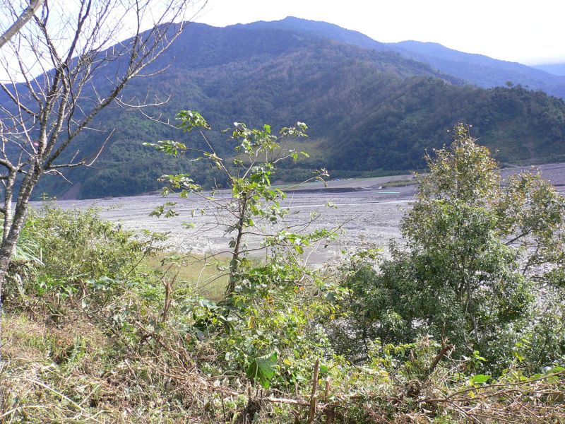 p0057.jpg