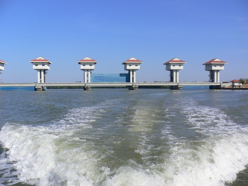 470.jpg