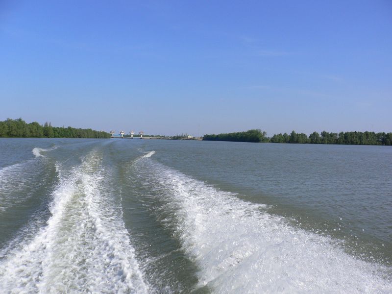 477.jpg