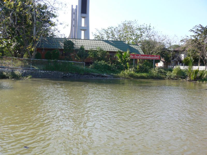 517.jpg