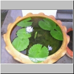 p1010045.jpg